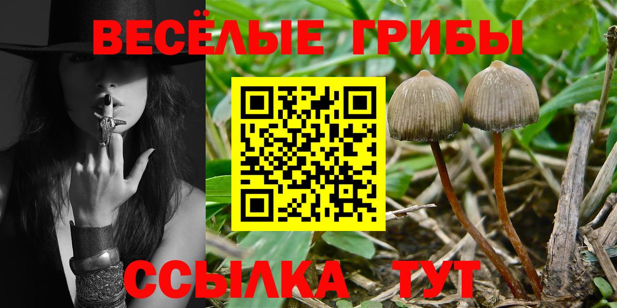 Алейск  Псилоцибиновые грибы мухоморы  Вход с VPN  Псилоцибиновые грибы прущие грибы 