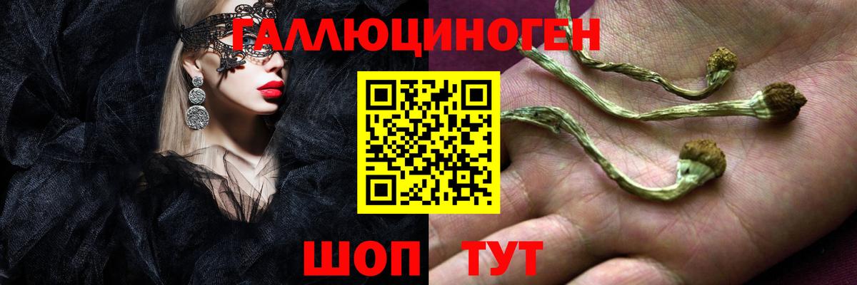Псилоцибиновые грибы прущие грибы Алейск